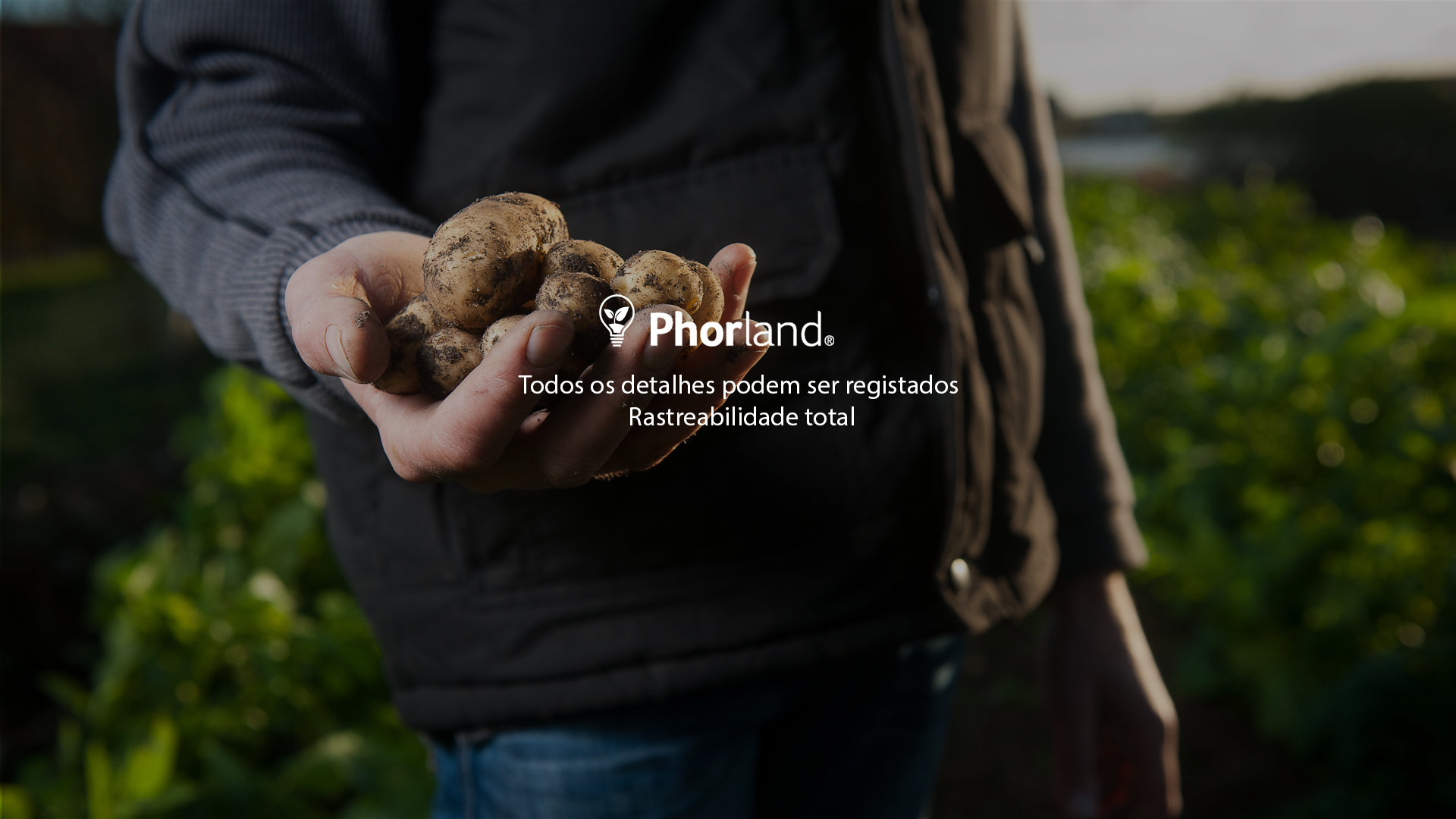 Phosphorland Consultoria E Software Para A Agricultura 0766